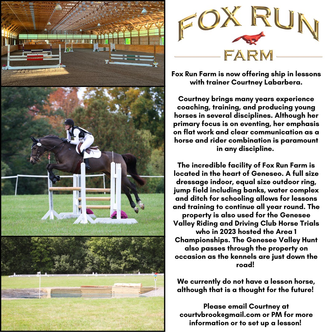 lessons and training at Fox Run Farm